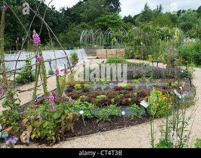 Pflanzlichen Zuteilung an Ryton Bio-Garten im Sommer, Warwickshire, England Stockfoto