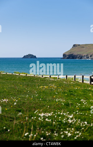 Polzeath Bucht an einem sonnigen Sommertag in Cornwall Stockfoto