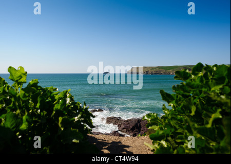 Polzeath Bucht an einem sonnigen Sommertag in Cornwall Stockfoto