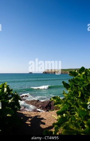 Polzeath Bucht an einem sonnigen Sommertag in Cornwall Stockfoto