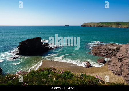 Polzeath Bucht an einem sonnigen Sommertag in Cornwall Stockfoto