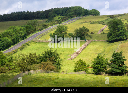 Ein Teil der Hadrianswall läuft neben die Military Road in Northumberland, England, UK. Stockfoto