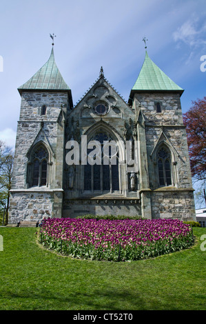 Domkirche ist Norwegens älteste Kathedrale. Es liegt mitten in Stavanger. Stockfoto