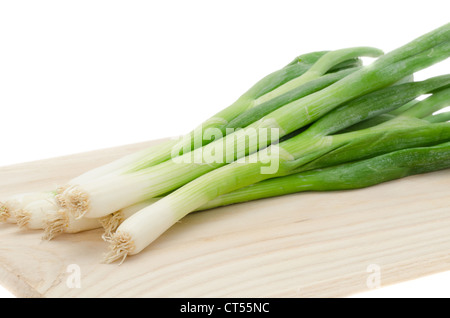 Frischen Frühlingszwiebeln oder Schalotten platziert auf einem Holzbrett - Studio gedreht Stockfoto