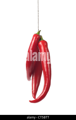 Red hot Chili peppers, isoliert auf weiss Stockfoto
