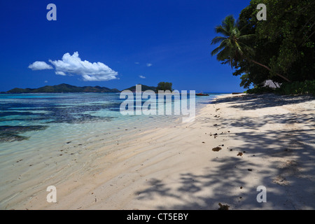 Tropische Schönheit in der Nähe von Anse Source d ' Argent, La Digue, Seychellen, Indischer Ozean auf La Digue auf den Seychellen Stockfoto