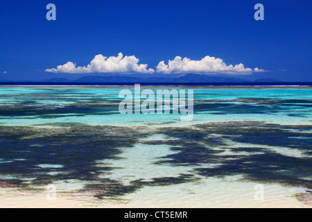 Tropische Schönheit in der Nähe von Anse Source d ' Argent, La Digue, Seychellen, Indischer Ozean auf La Digue auf den Seychellen Stockfoto