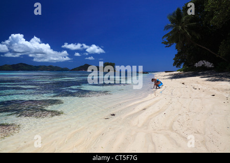 Frau in blau Sarong hält eine Schale entlang des Strandes in der Nähe von Anse Source d ' Argent auf La Digue auf den Seychellen abholen Stockfoto