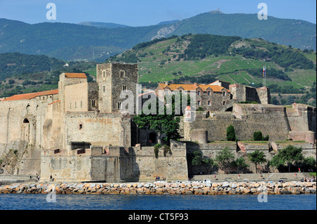 Die Festung Château royal de Collioure, Pyrénées-Orientales, Pyrenäen, Frankreich Stockfoto