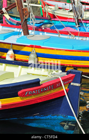 Traditionelle bunte Angelboote/Fischerboote zum Angeln Sardellen im Hafen von Collioure, Pyrénées-Orientales, Pyrenäen, Frankreich Stockfoto