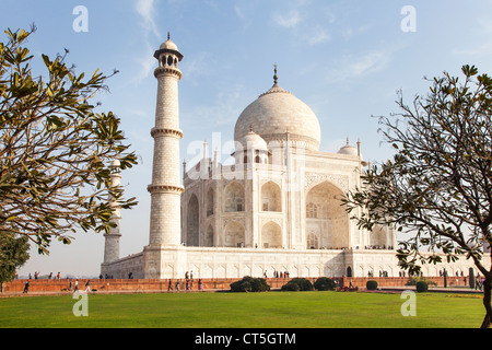 Strahlend weiße Taj Mahal und seine Gärten, Agra, Uttar Pradesh, Indien Stockfoto