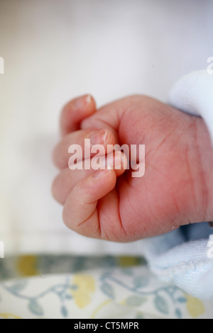 HAND DES NEUGEBORENEN Stockfoto