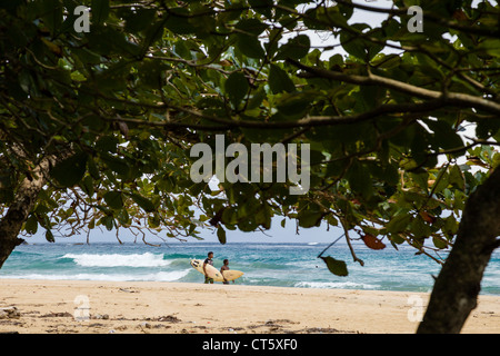 Surfer zu Fuß entlang des Meeres an Assistenten Strand (erste) auf Isla Bastimentos, Bocas del Toro, Panama. Stockfoto