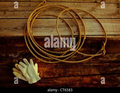 Ein western Cowboy Seil (Lasso) Verlegung auf einem alten verwitterten Zaun mit Lederhandschuhen. Stockfoto