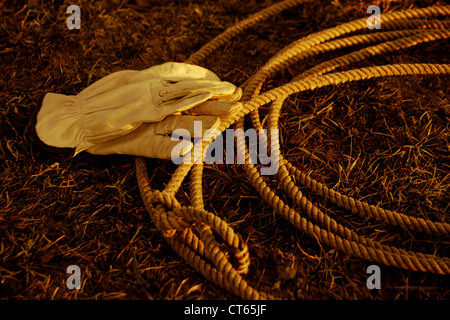 Ein western Cowboy Rope (Lasso) Verlegung auf dem Rasen mit Handschuhen. Stockfoto