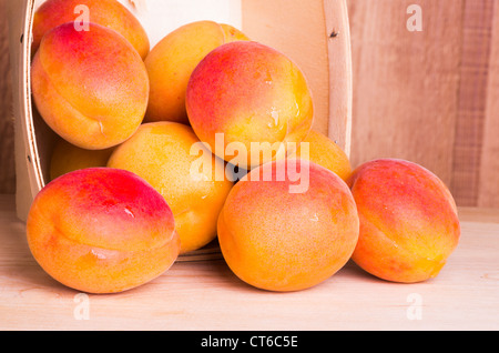 Korb voll mit frischen Reifen Aprikosen Stockfoto