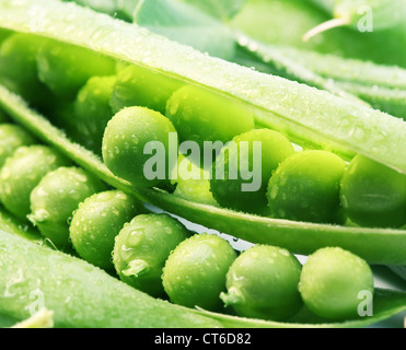 Hülsen von Erbsen mit Blättern auf weißem Hintergrund. Stockfoto