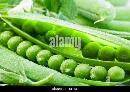 Hülsen von Erbsen auf einem Hintergrund von Blättern. Stockfoto