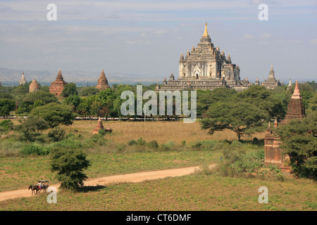 Thatbyinnyu Tempel, Bagan archäologische Zone, Mandalay Region, Myanmar, Südostasien Stockfoto