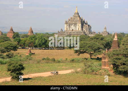 Thatbyinnyu Tempel, Bagan archäologische Zone, Mandalay Region, Myanmar, Südostasien Stockfoto