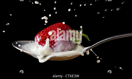 rote, Reife Erdbeere fallen in Löffel mit frischer Milch - auf fehlende Hintergrund isoliert Stockfoto