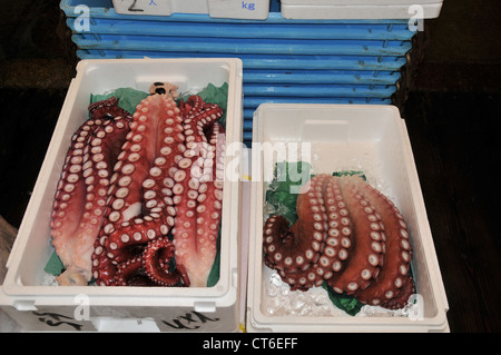 Krake Tsukiji-Fischmarkt Tokyo Japan Asien Stockfoto