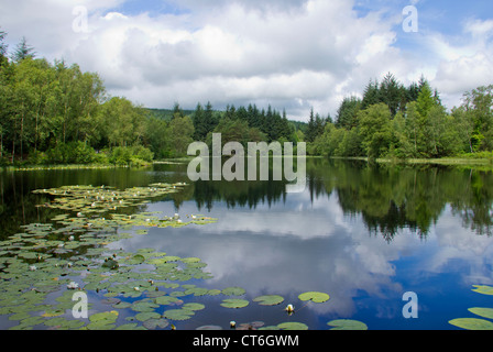 Bruntis Loch im Kirroughtree Wald in Galloway - Schottland Stockfoto