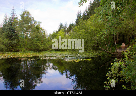 Bruntsi Loch im Kirroughtree Wald in Galloway - Schottland Stockfoto