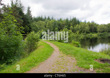 Bruntis Loch im Kirroughtree Wald in Galloway - Schottland Stockfoto