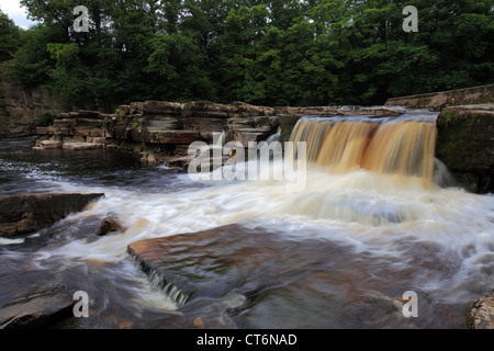 Wasserfälle, Fluß Swale; Richmond Town; North Yorkshire, England, Vereinigtes Königreich Stockfoto