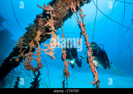 Taucher am Wrack Stockfoto