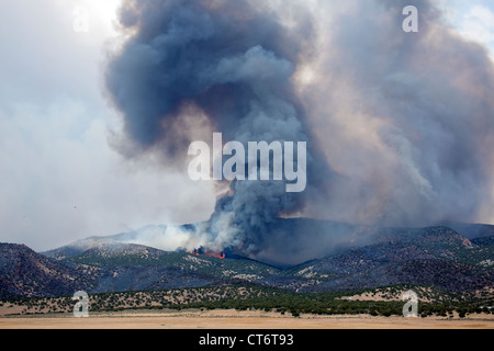 Wildfire tobt außer Kontrolle und Hügeln im zentralen Utah brennt. Stockfoto