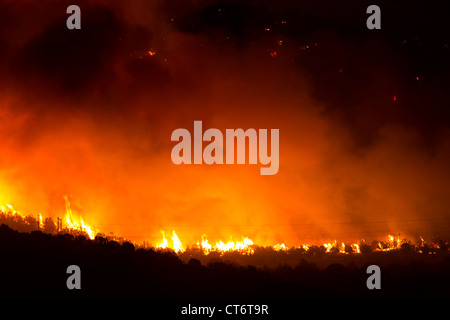 Wildfire tobt außer Kontrolle und Hügeln im zentralen Utah brennt. Stockfoto