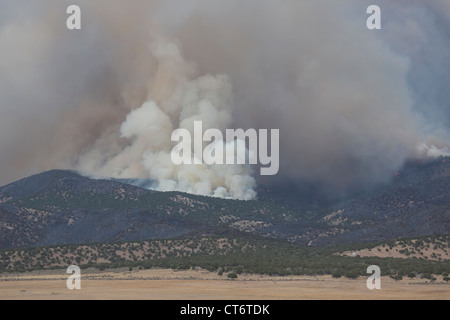 Wildfire tobt außer Kontrolle und Hügeln im zentralen Utah brennt. Stockfoto