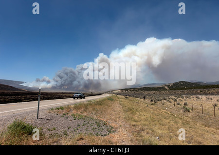 Wildfire tobt außer Kontrolle und Hügeln im zentralen Utah brennt. Stockfoto