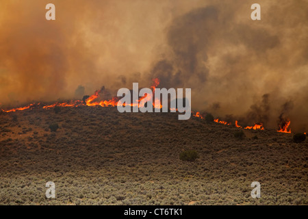 Wildfire tobt außer Kontrolle und Hügeln im zentralen Utah brennt. Stockfoto