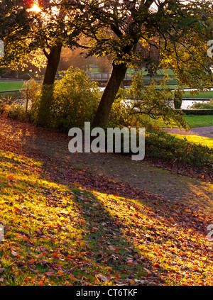 Sonne durch die Bäume im Herbst im Pavilion Gardens ein öffentlicher Park in Buxton in Derbyshire Peak District England Großbritannien Stockfoto