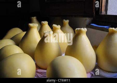 Typisch sardische Käse Casizolu, Seneghe, Italien Stockfoto