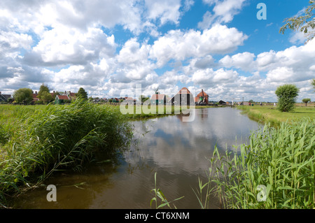 typische holländische Polderlandschaft nördlich von amsterdam Stockfoto