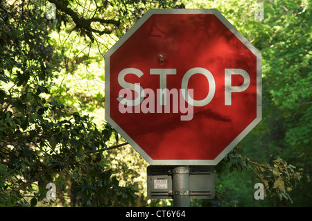Britische Verkehrszeichen. Ein roter achteckige Stoppschild neben einer Landstraße in ländlichen Dorset. Jemand hat es einen Topf Schuss betrachtet. England, United Kingdom. Stockfoto