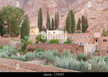 Die Gärten des Klosters Saint Catherine mit der Kloster-Pension hinter Saint Catherine, Sinai, Ägypten Stockfoto