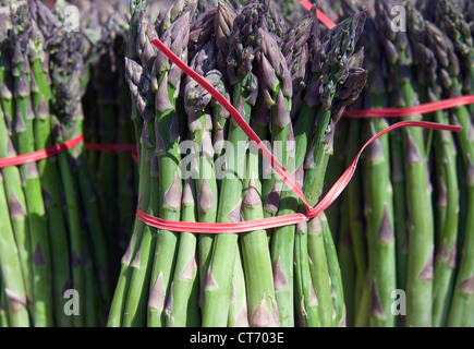 Bündel von Spargel zum Verkauf an einen Bauernmarkt. Stockfoto
