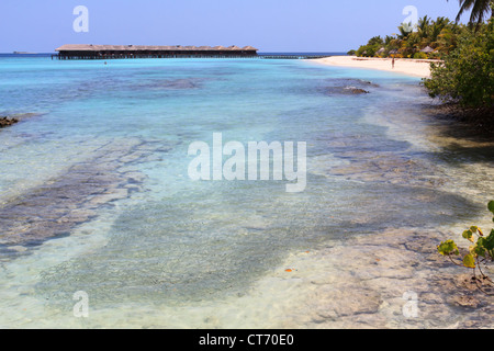 Luxus-Wasser-Bungalows, Meer, Strand und einen kleinen Fischschwarm auf den Malediven Stockfoto