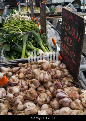 Bio italienische rot-Knoblauch zum Verkauf an Farmers Market Day The Ferry Building Embarcadero San Francisco Kalifornien USA Stockfoto