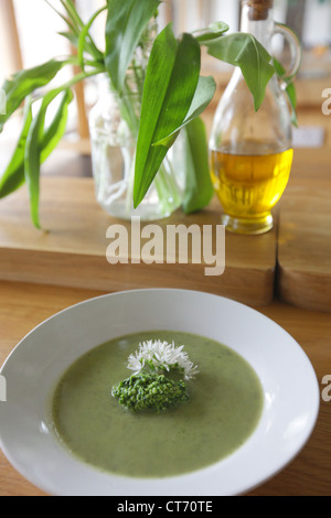 Bärlauch-Suppe mit Bärlauch-Pesto und Blumen-Dekoration. Stockfoto