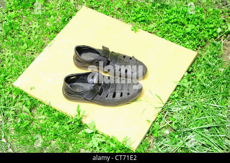 alte Schuhe auf dem Brett im grünen Rasen. Stockfoto