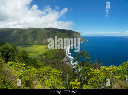 Waipio Valley, Hamakua Küste, Insel von Hawaii Stockfoto