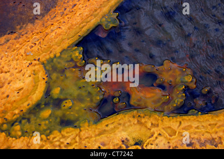 Prismatische bakterielle Matten, Upper Geyser Basin, Yellowstone-Nationalpark Stockfoto