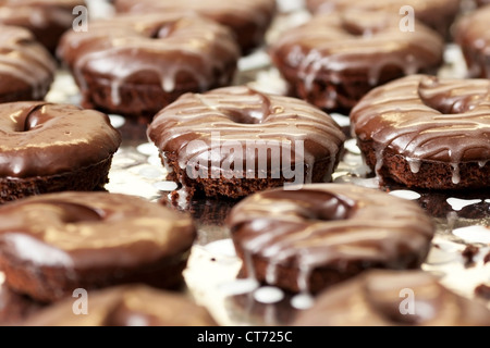 Verglasung Schokoladen Donuts im Tandmen Krapfen, eine kleine Boutique-Bäckerei in Missoula, Montana. Stockfoto
