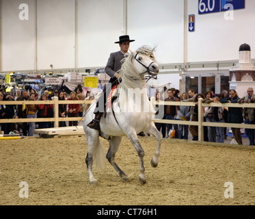 Essen, EQUITANA - Weltmesse Pferdesport Stockfoto